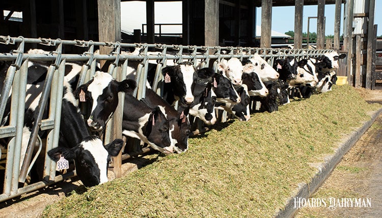 We’re Making Strides on Improving Feed Saved