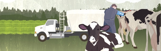 Building a playbook for better cow care and feed efficiency