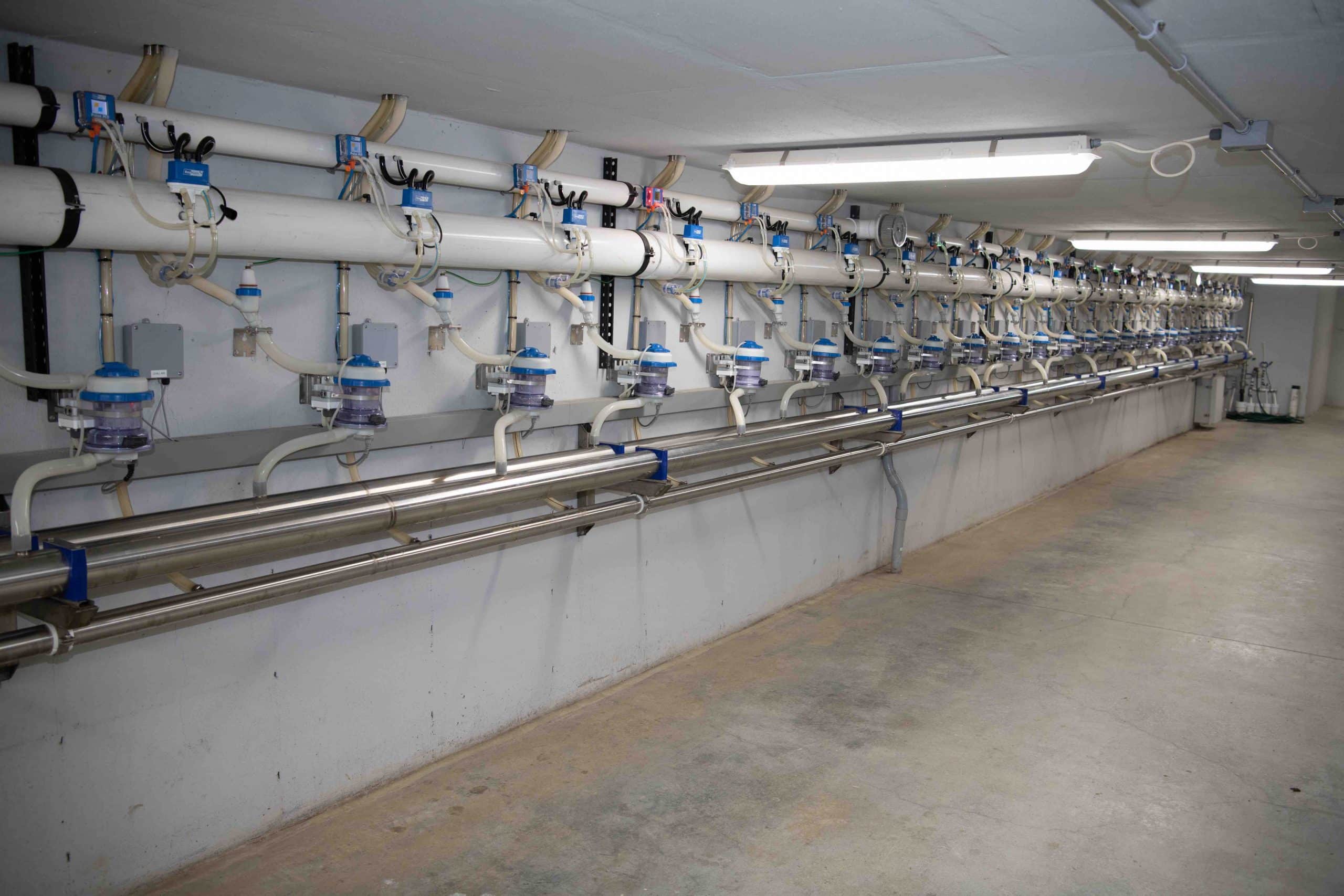 Statistical Methods Revisited for Estimating Daily Milk Yields: How Well do They Work?