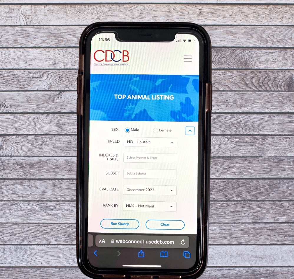 CDCB WebConnect: Enhanced for Mobile