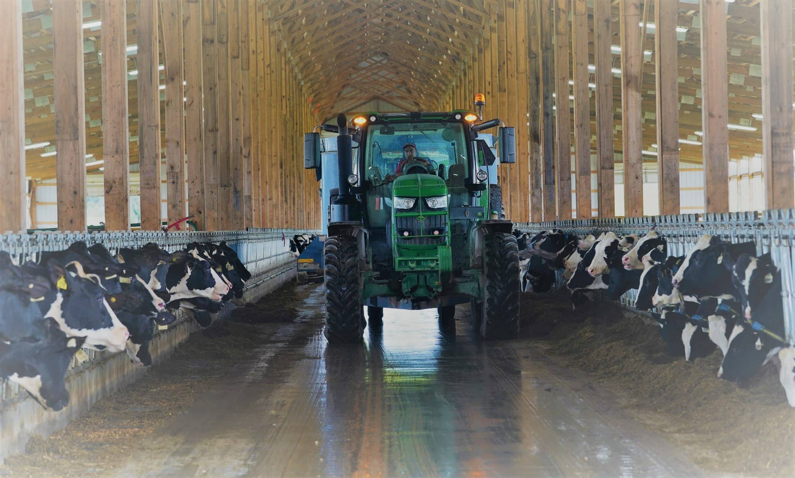 New Research Published on Residual Feed Intake