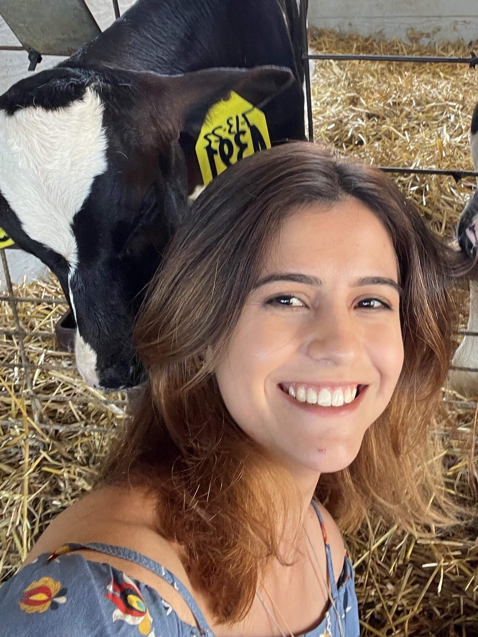 Intern Report: Investigation into Johne&#8217;s Disease