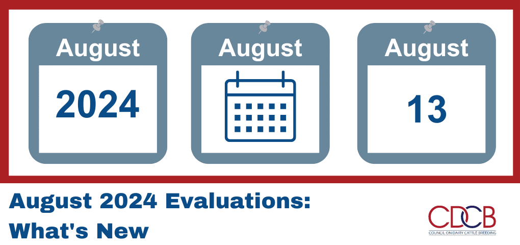 August 2024 Evaluations: What&#8217;s New?
