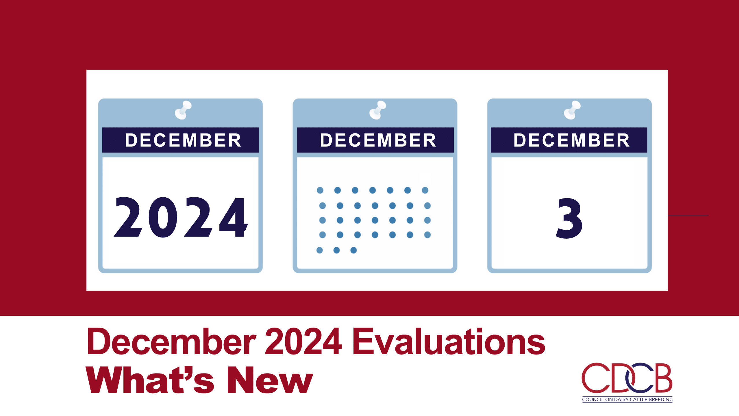 December 2024 CDCB Evaluations: What&#8217;s New?