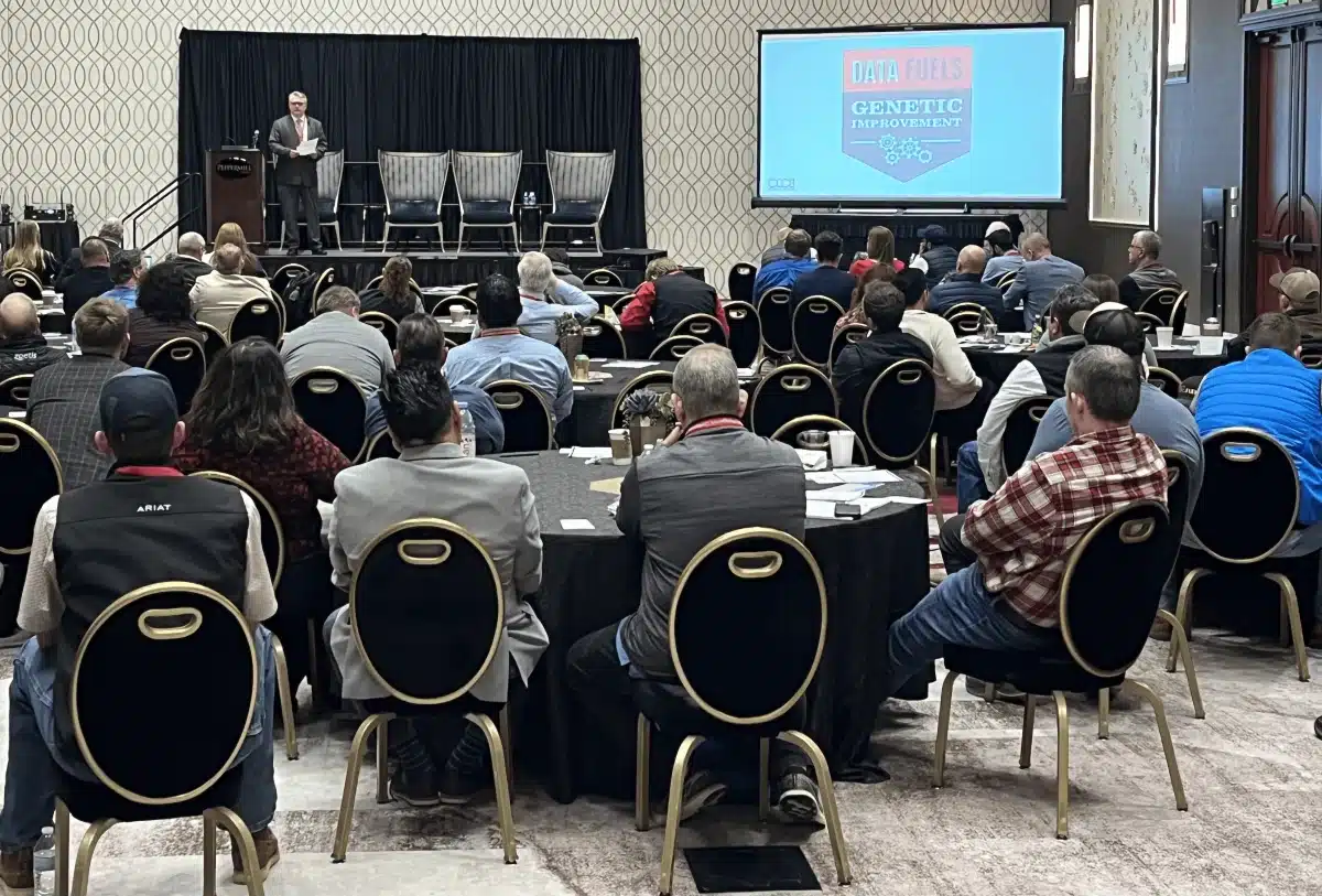 CDCB Producer Exchange Connects the Industry